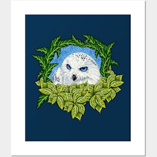 Mister Blue Eyes (Snowy Owl) Posters and Art